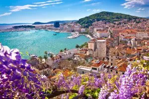 Disfruta vistas con aroma a lavanda