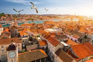 Gaviotas sobre techos de Trogir